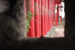 img_0357
